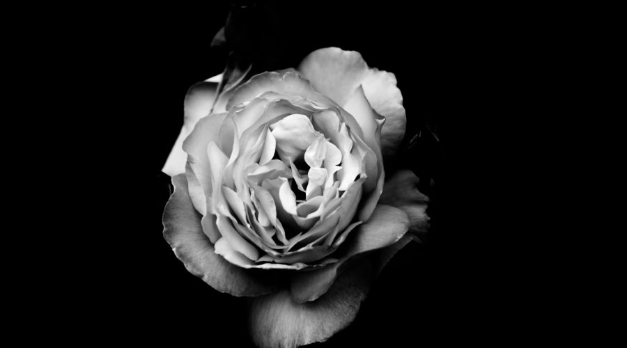 Black and White Photography Black and White Photography